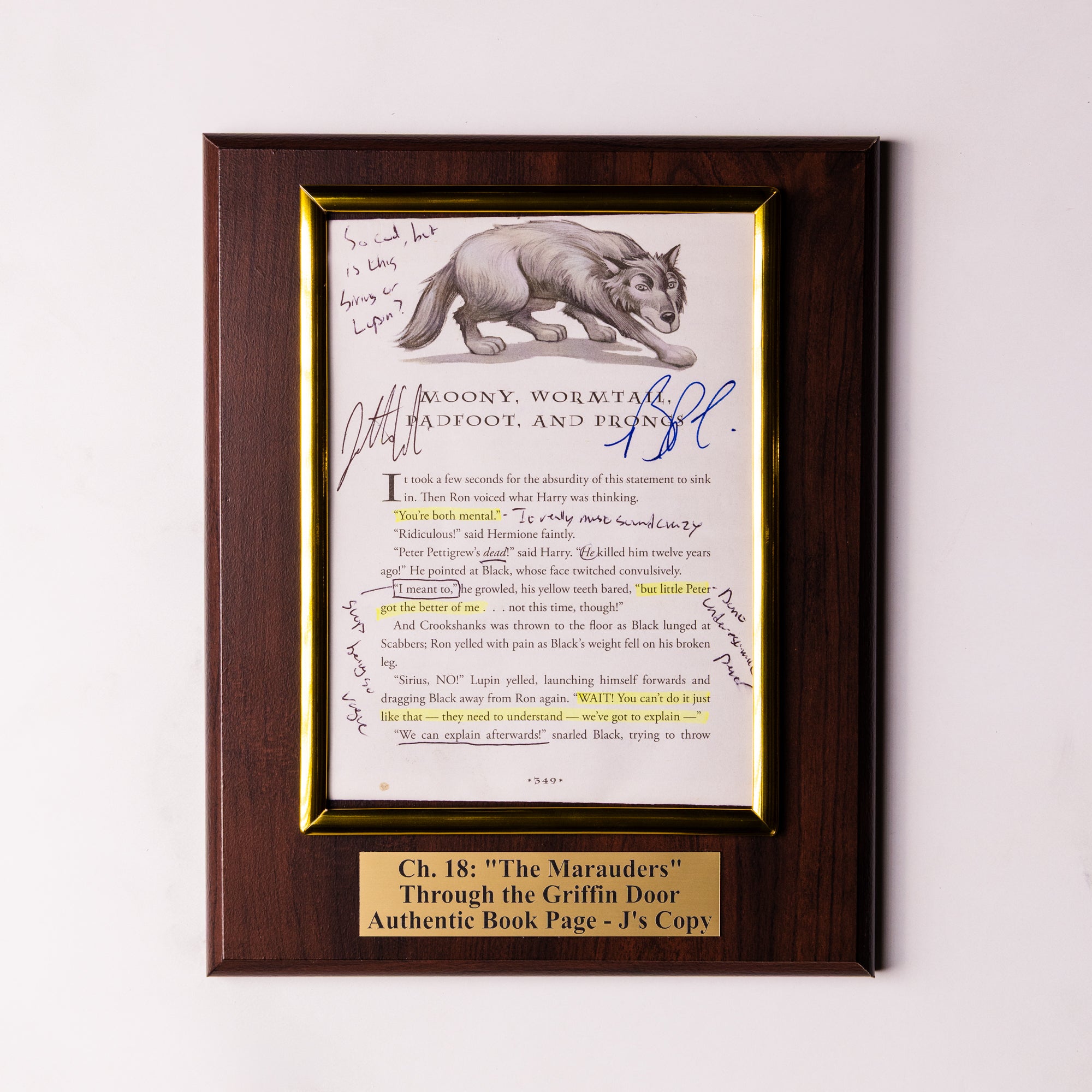 TTGD Book Page Plaque - Ch 18: The Marauders - J's Copy