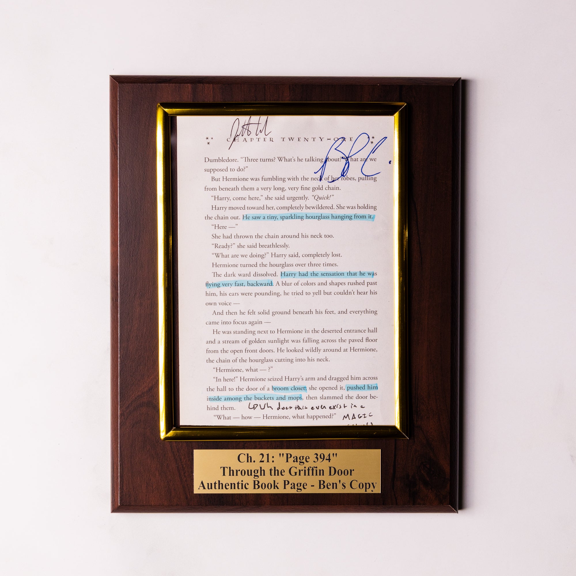 TTGD Book Page Plaque - Ch 21: Page 394 - Ben's Copy