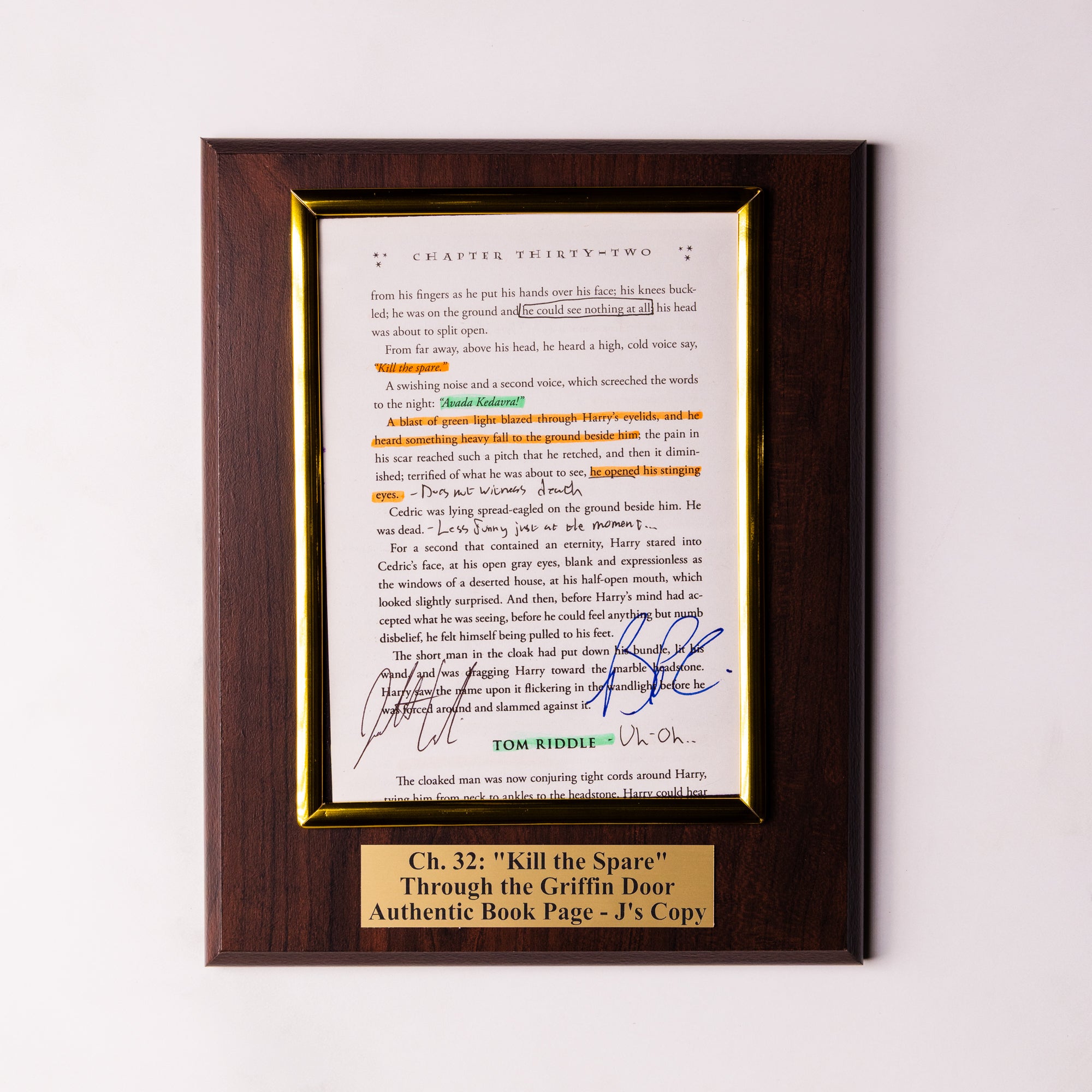 TTGD Book Page Plaque - Ch 32: Kill the Spare - J's Copy