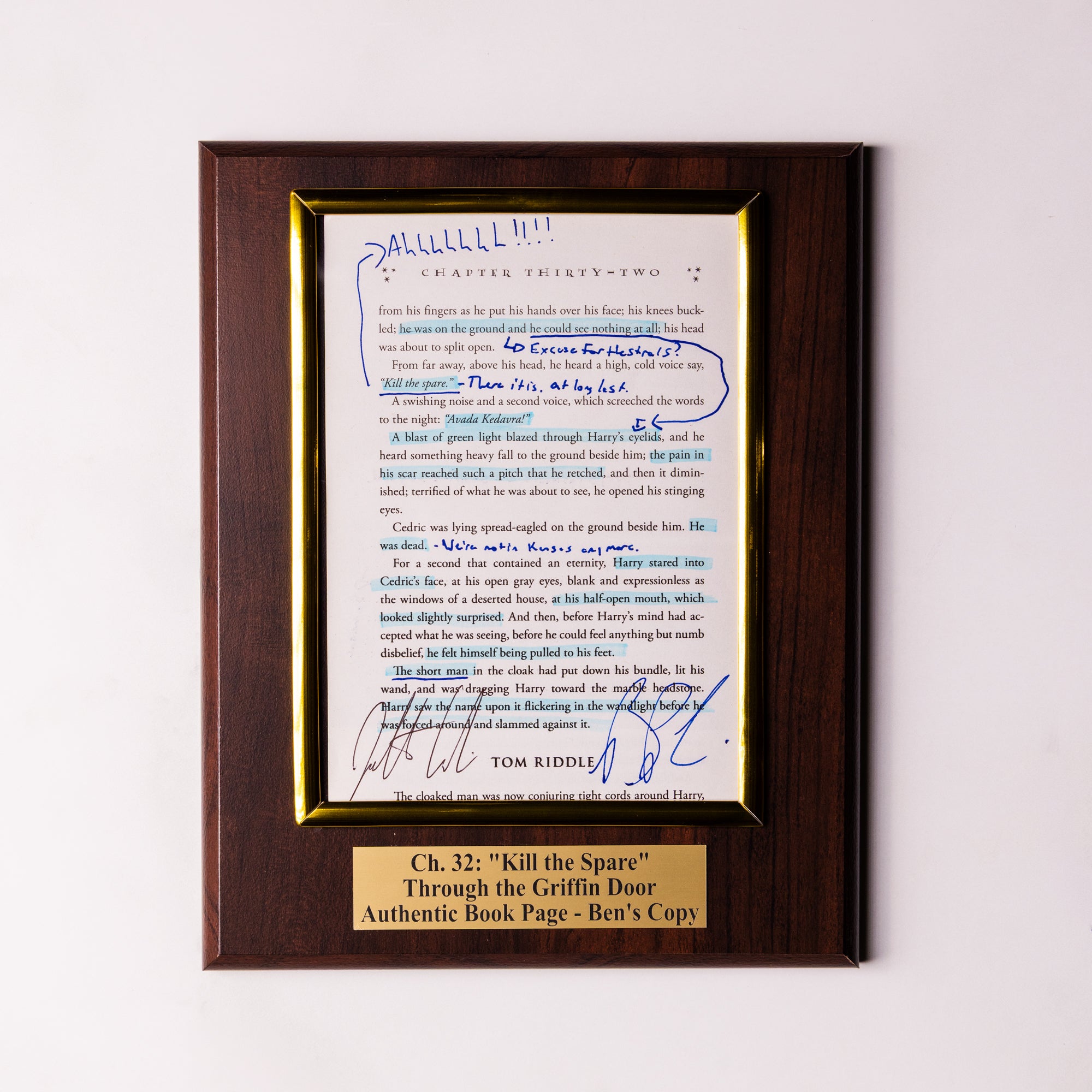 TTGD Book Page Plaque - Ch 32: Kill the Spare - Ben's Copy