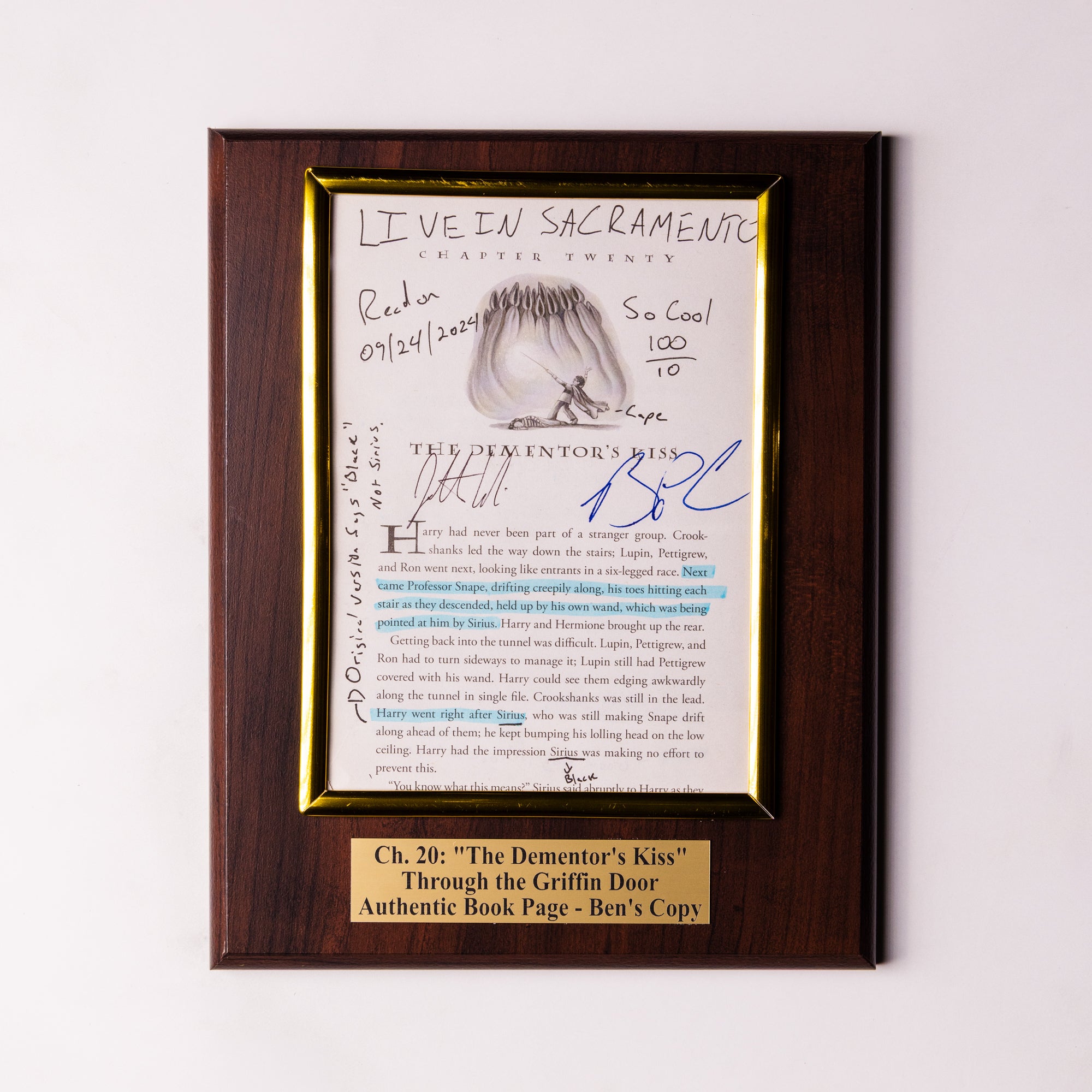 TTGD Book Page Plaque - Ch 20: The Kiss - Ben's Copy