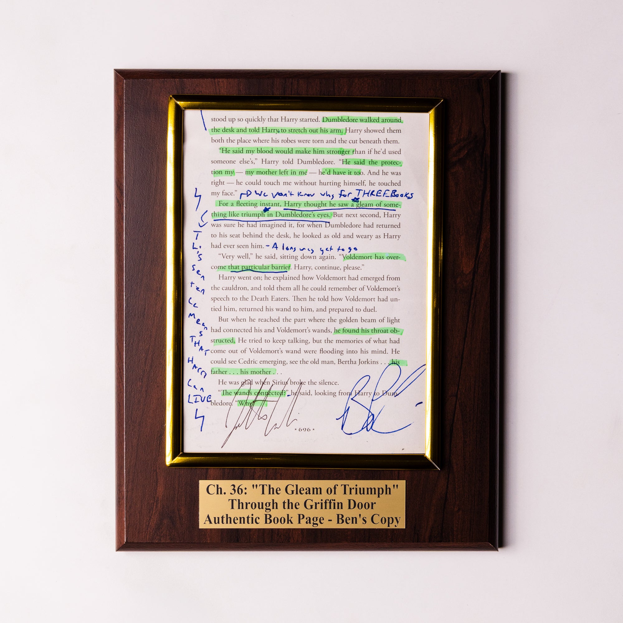 TTGD Book Page Plaque - Ch 36: The Gleam of Triumph - Ben's Copy