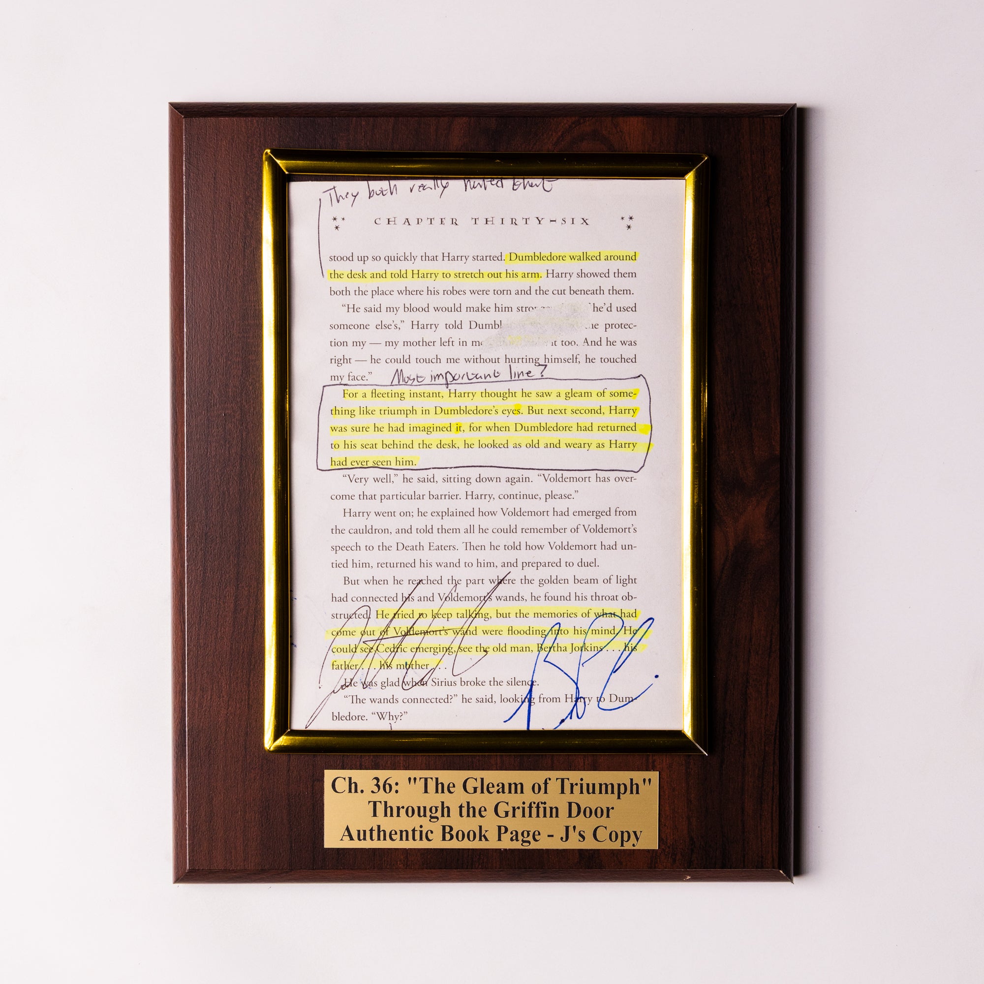 TTGD Book Page Plaque - Ch 36: The Gleam of Triumph - J's Copy